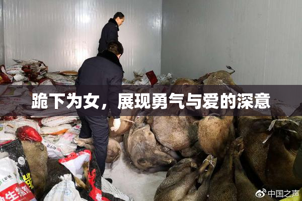 跪下为女，展现勇气与爱的深意