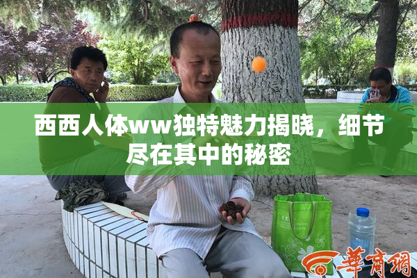 西西人体ww独特魅力揭晓，细节尽在其中的秘密
