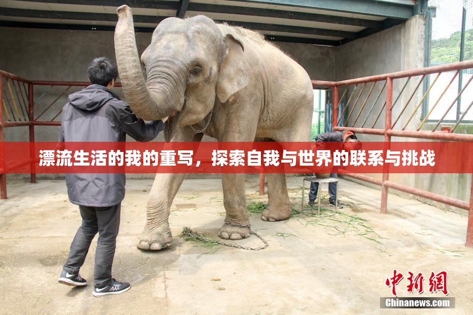 漂流生活的我的重写，探索自我与世界的联系与挑战