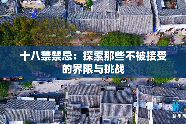 十八禁禁忌：探索那些不被接受的界限与挑战