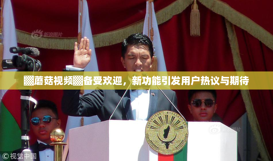▓蘑菇视频▓备受欢迎，新功能引发用户热议与期待