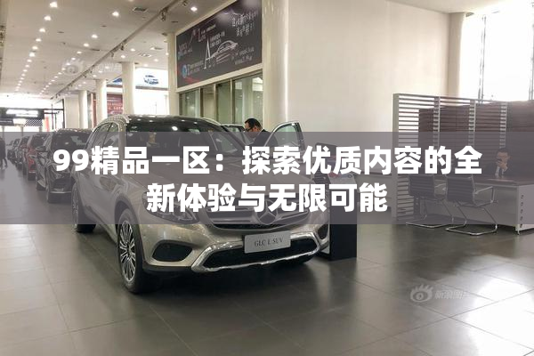 99精品一区：探索优质内容的全新体验与无限可能