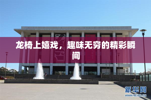 龙椅上嬉戏，趣味无穷的精彩瞬间