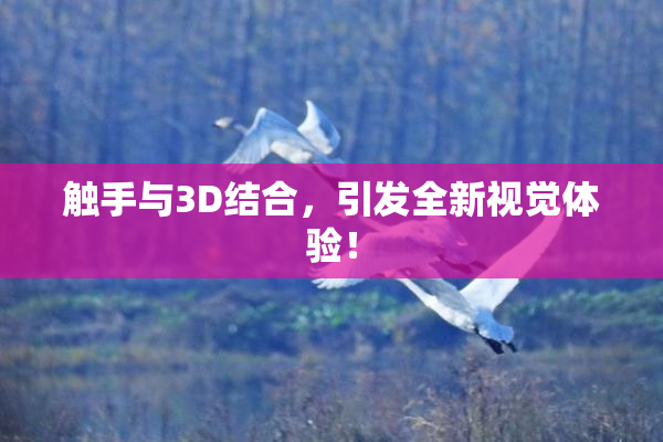 触手与3D结合，引发全新视觉体验！