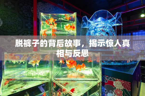 脱裤子的背后故事，揭示惊人真相与反思