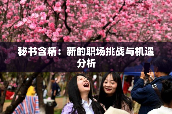 秘书含精：新的职场挑战与机遇分析
