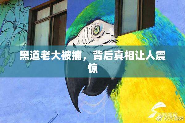 黑道老大被捕，背后真相让人震惊