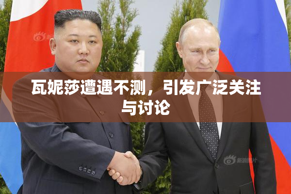 瓦妮莎遭遇不测，引发广泛关注与讨论