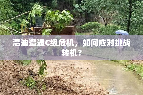 温迪遭遇C级危机，如何应对挑战转机？