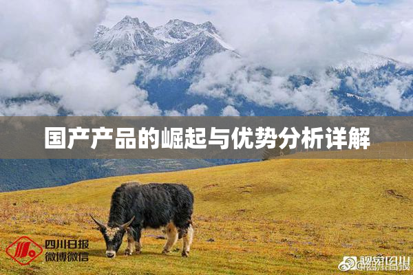 国产产品的崛起与优势分析详解