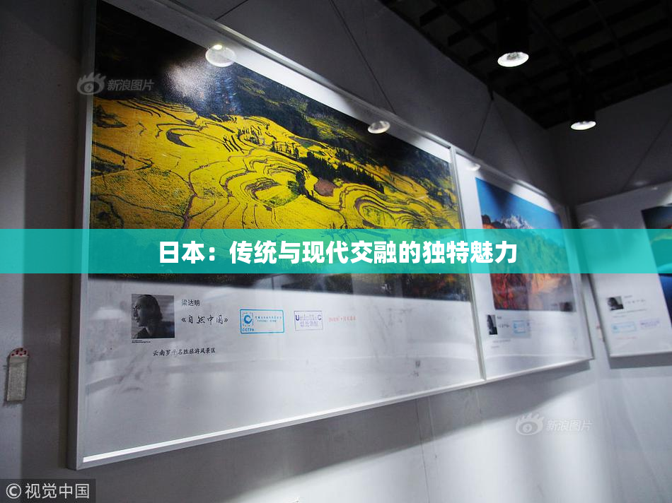 日本：传统与现代交融的独特魅力
