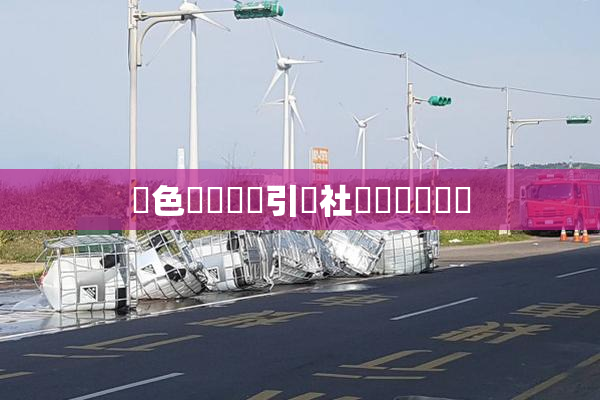 黃色親倫關係引發社會熱議與討論