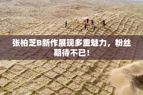 张柏芝B新作展现多重魅力，粉丝期待不已！