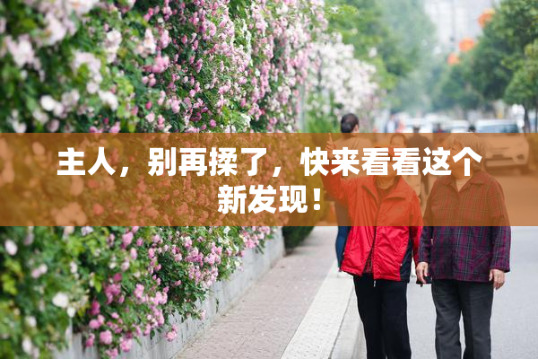 主人，别再揉了，快来看看这个新发现！
