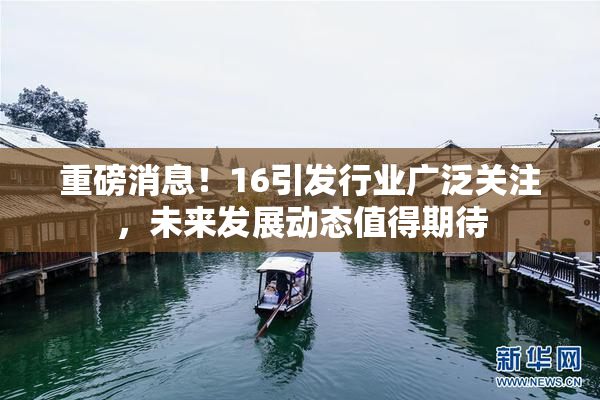 重磅消息！16引发行业广泛关注，未来发展动态值得期待