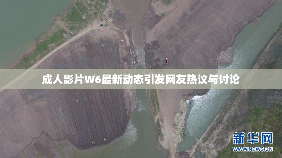成人影片W6最新动态引发网友热议与讨论