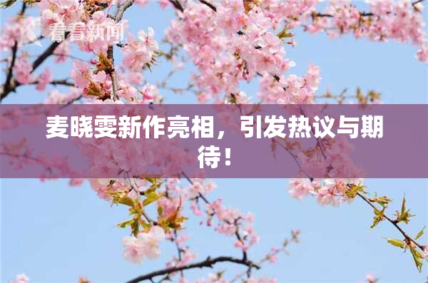 麦晓雯新作亮相，引发热议与期待！