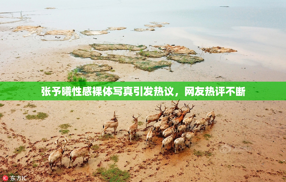 张予曦性感裸体写真引发热议，网友热评不断