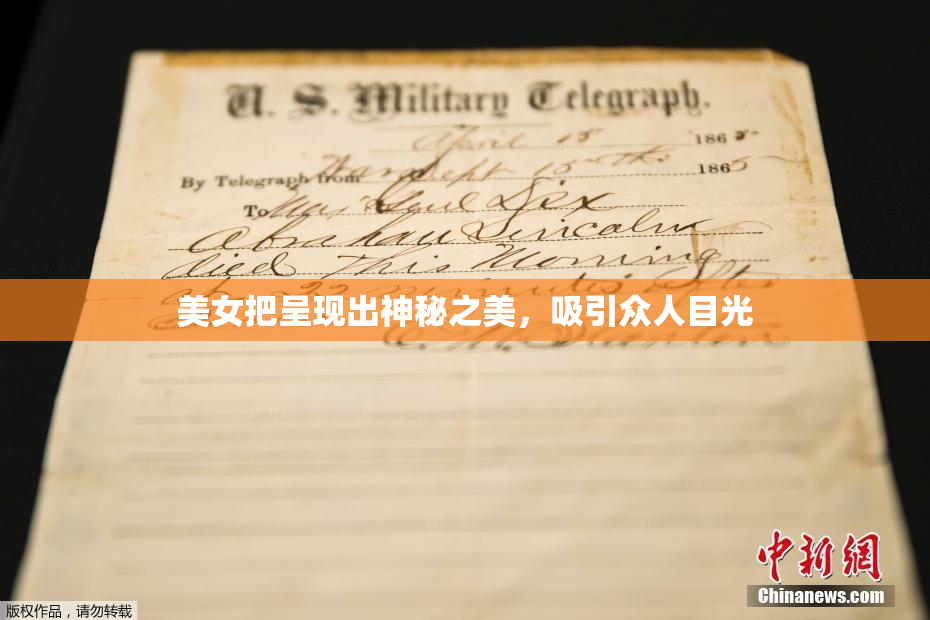 美女把呈现出神秘之美，吸引众人目光