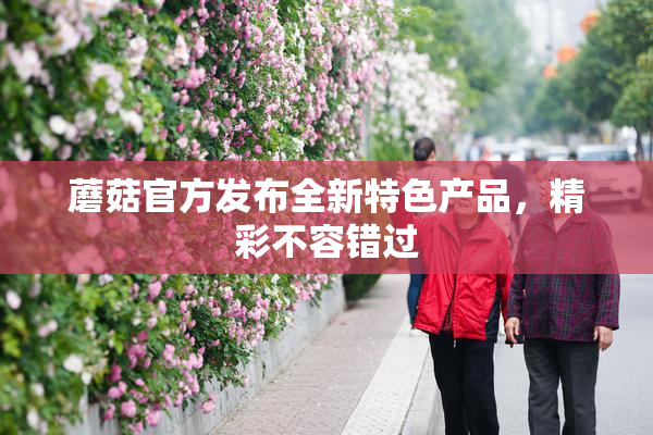 蘑菇官方发布全新特色产品，精彩不容错过