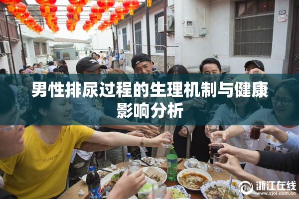 男性排尿过程的生理机制与健康影响分析