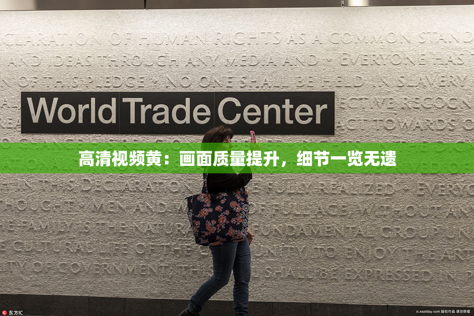 高清视频黄：画面质量提升，细节一览无遗