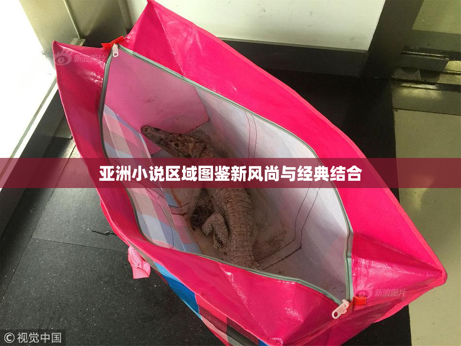 亚洲小说区域图鉴新风尚与经典结合