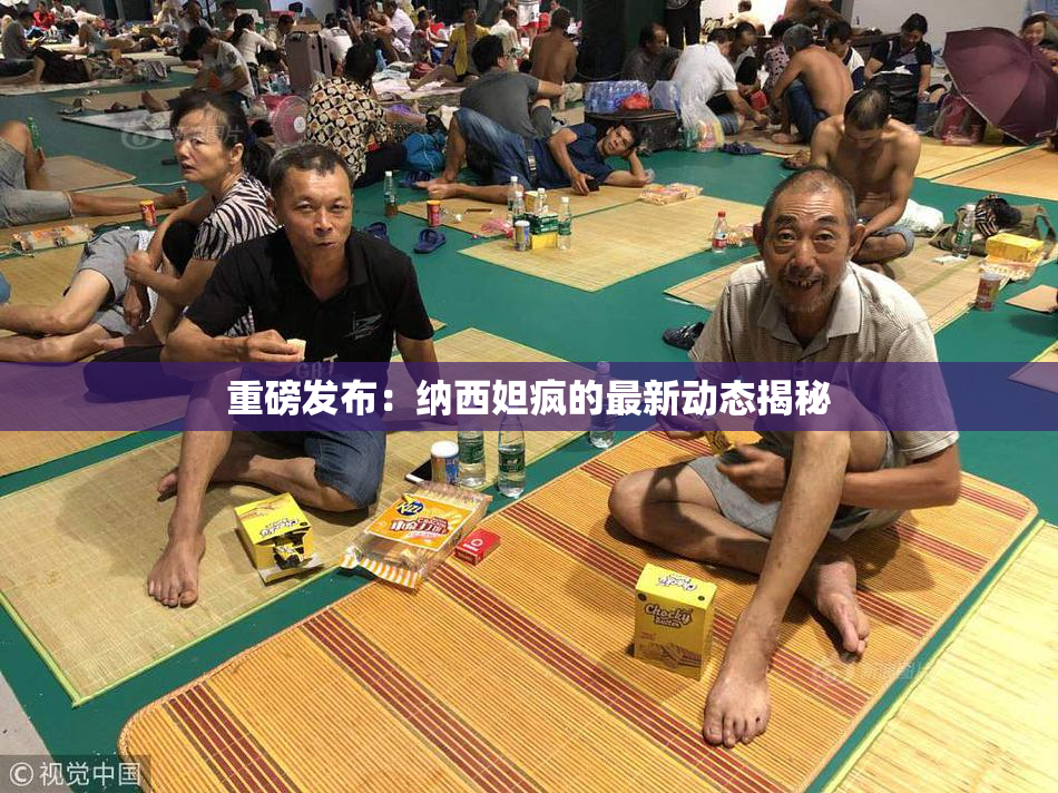 重磅发布：纳西妲疯的最新动态揭秘