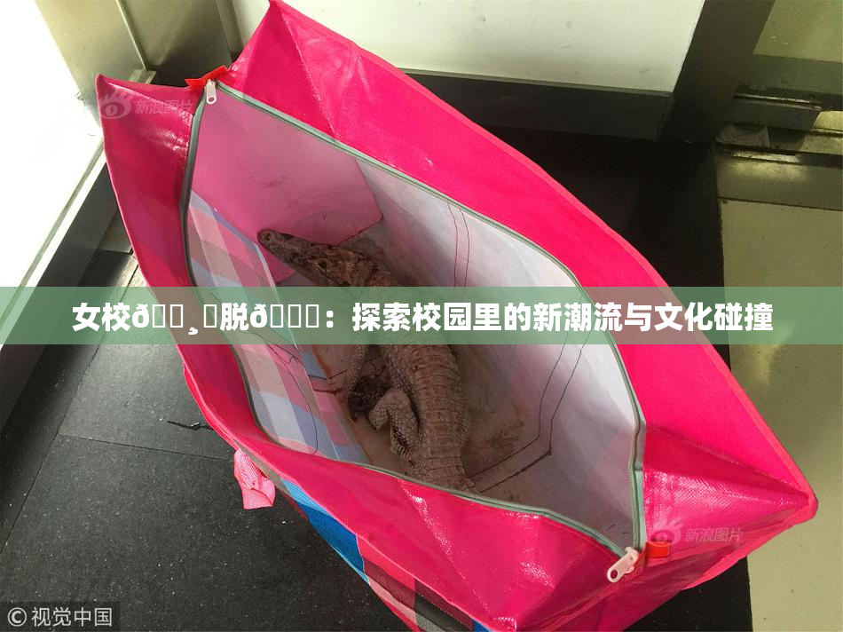 女校🌸‌脱👙：探索校园里的新潮流与文化碰撞