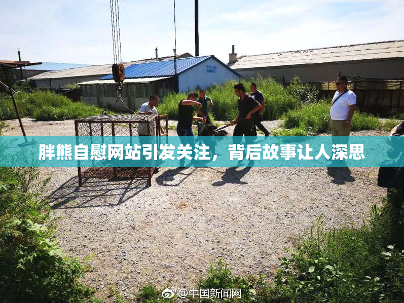 胖熊自慰网站引发关注，背后故事让人深思