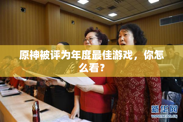 原神被评为年度最佳游戏，你怎么看？