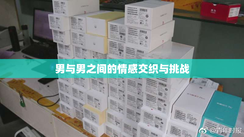 男与男之间的情感交织与挑战