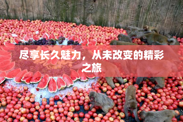 尽享长久魅力，从未改变的精彩之旅