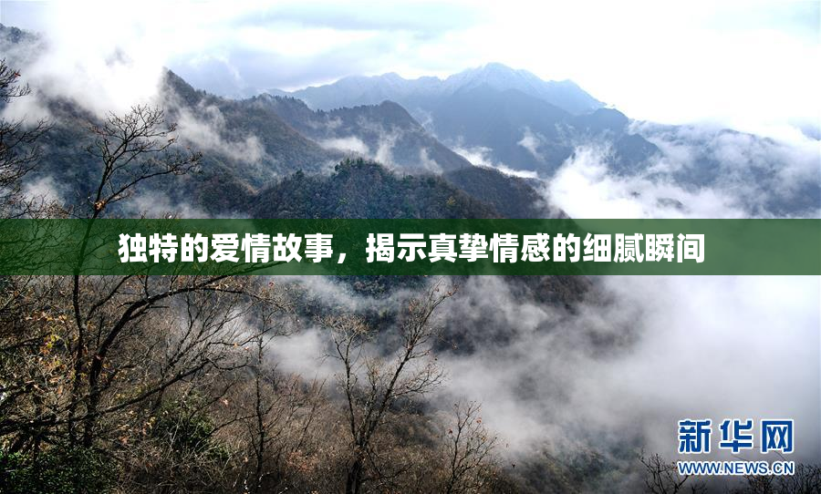 独特的爱情故事，揭示真挚情感的细腻瞬间