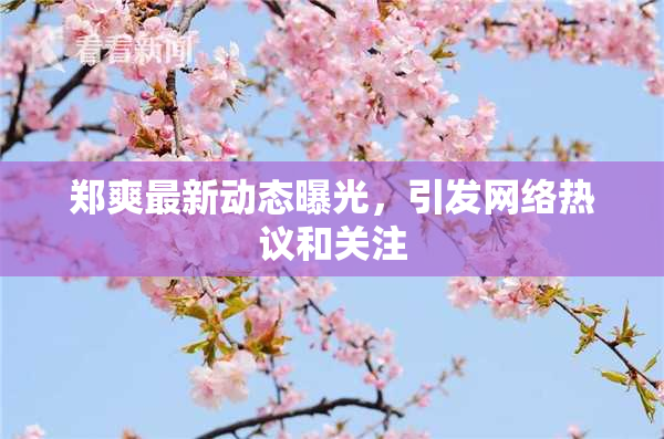 郑爽最新动态曝光，引发网络热议和关注
