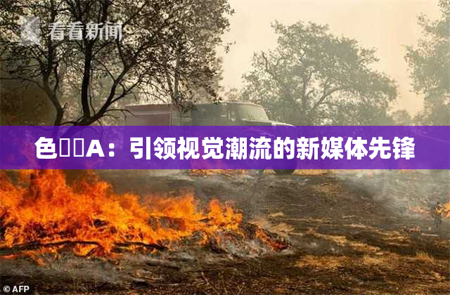 色妺妺A：引领视觉潮流的新媒体先锋