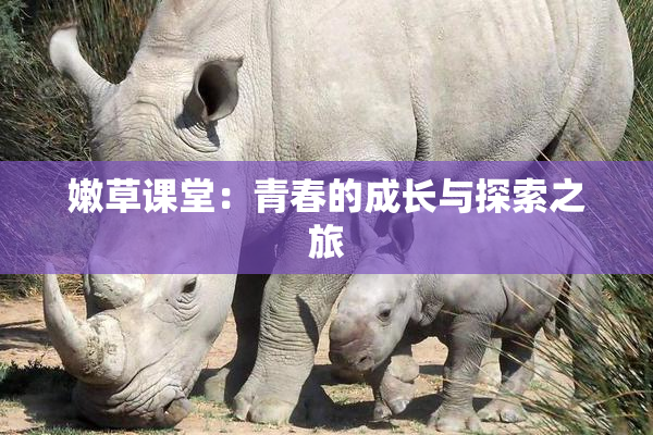 嫩草课堂：青春的成长与探索之旅