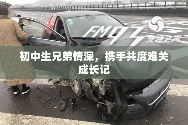初中生兄弟情深，携手共度难关成长记