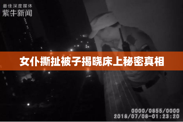 女仆撕扯被子揭晓床上秘密真相