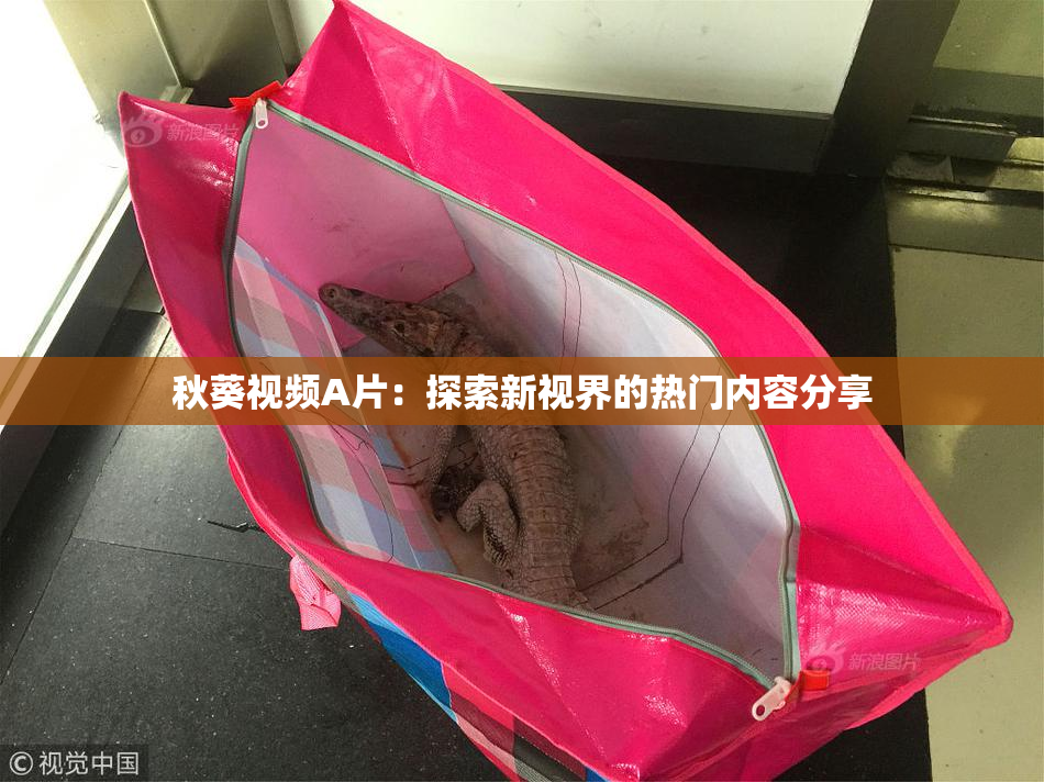 秋葵视频A片：探索新视界的热门内容分享