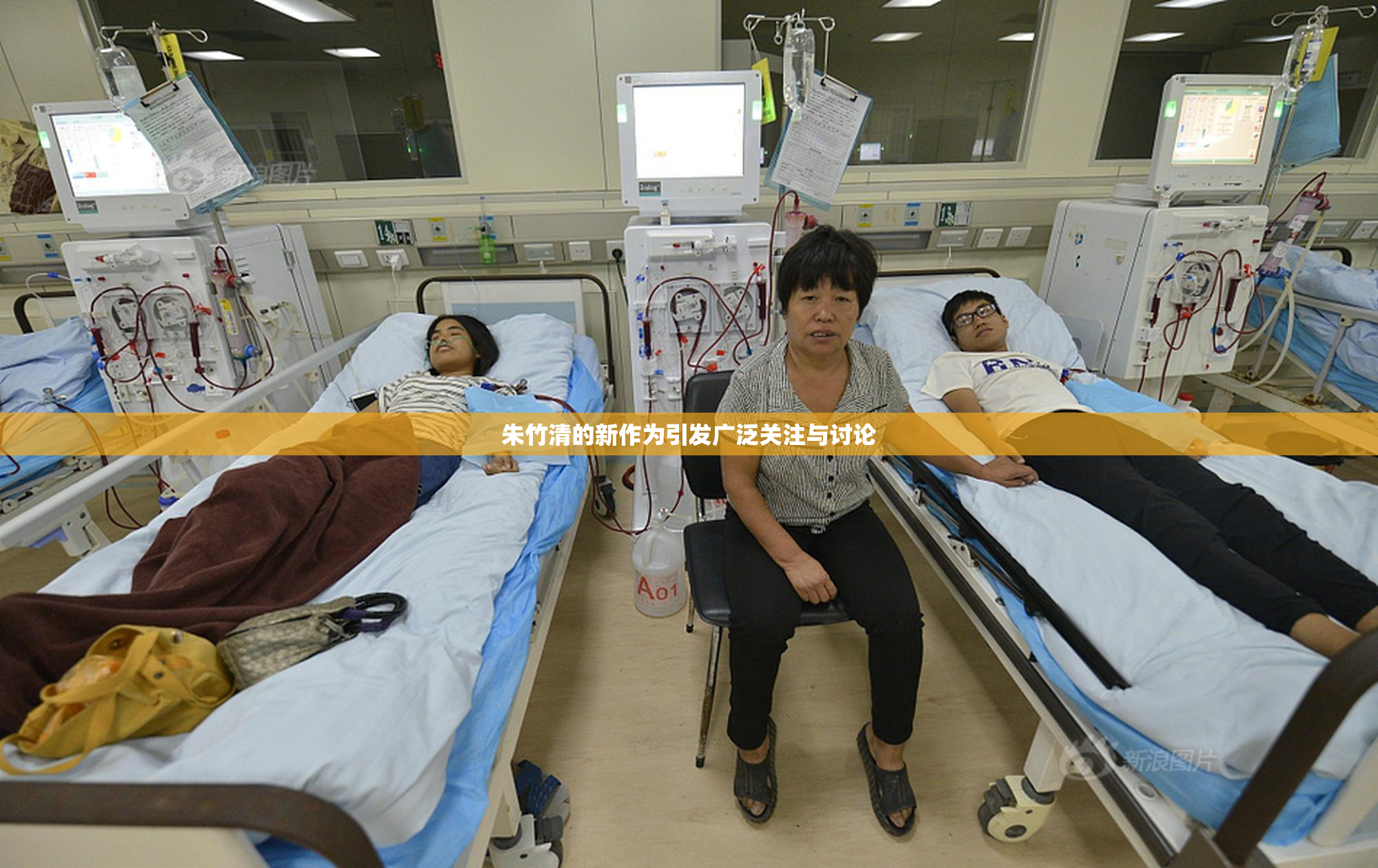 朱竹清的新作为引发广泛关注与讨论