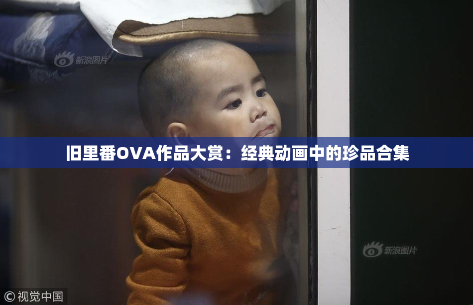 旧里番OVA作品大赏：经典动画中的珍品合集