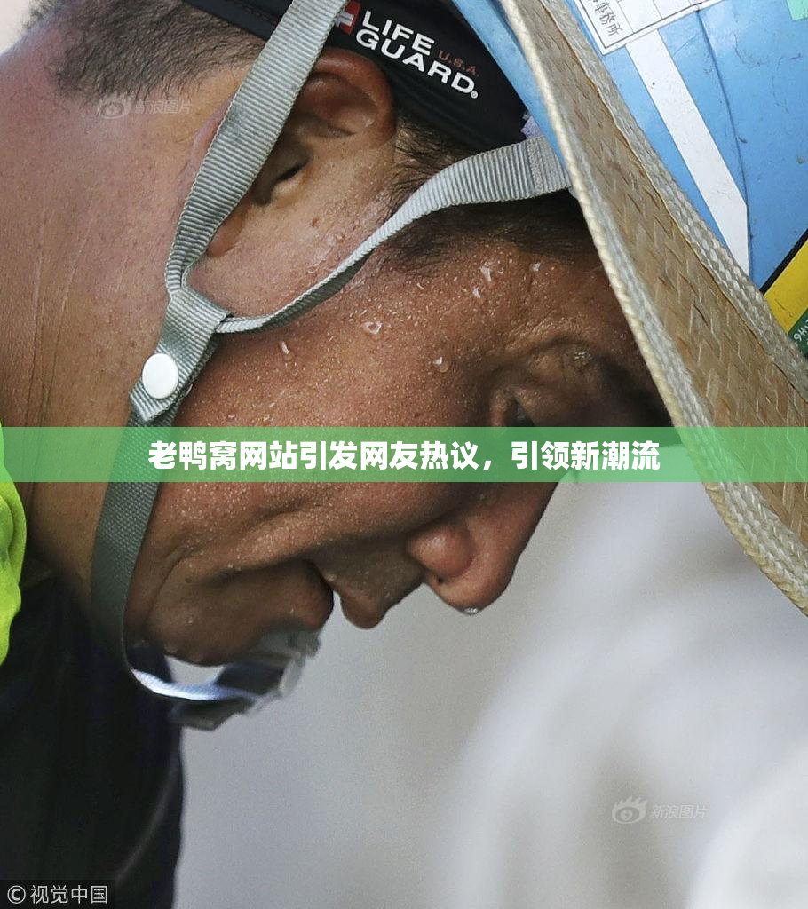 老鸭窝网站引发网友热议，引领新潮流