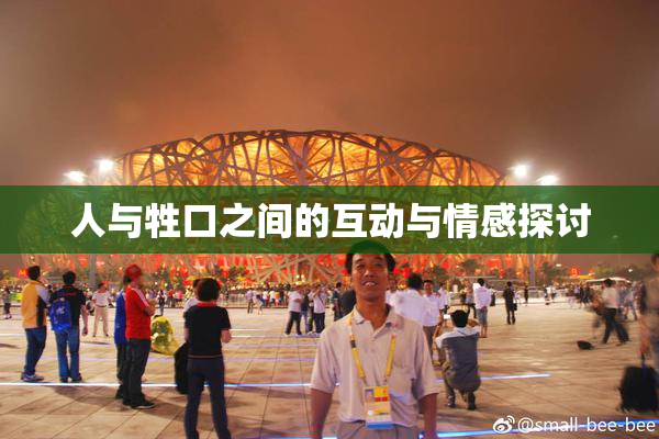 人与牲口之间的互动与情感探讨