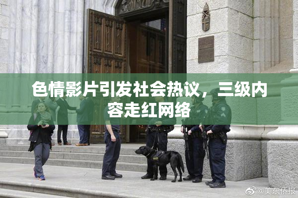 色情影片引发社会热议，三级内容走红网络