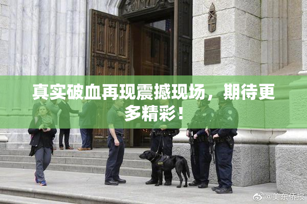 真实破血再现震撼现场，期待更多精彩！