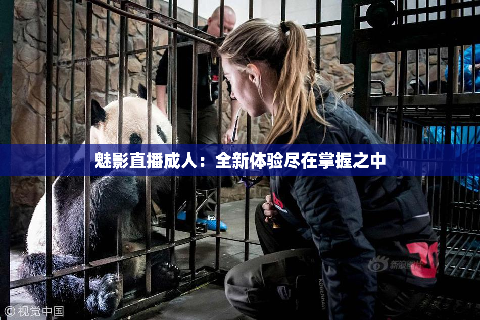 魅影直播成人：全新体验尽在掌握之中