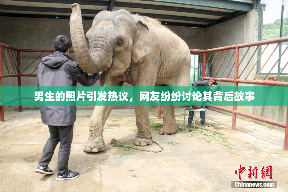 男生的照片引发热议，网友纷纷讨论其背后故事