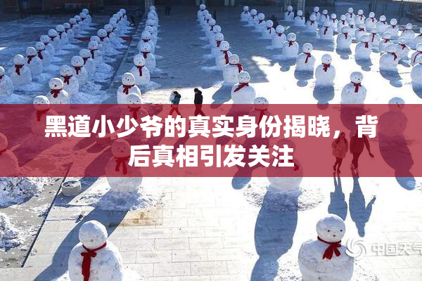 黑道小少爷的真实身份揭晓，背后真相引发关注
