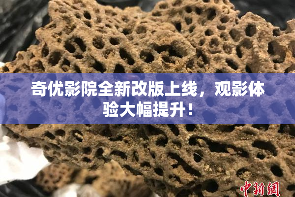 奇优影院全新改版上线，观影体验大幅提升！